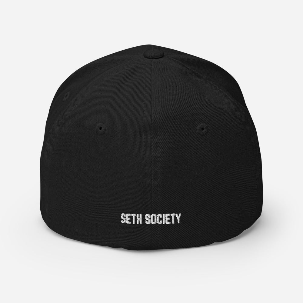 Grand Slam Fitted Hat, Baseball Sportswear Brand - Seth Society