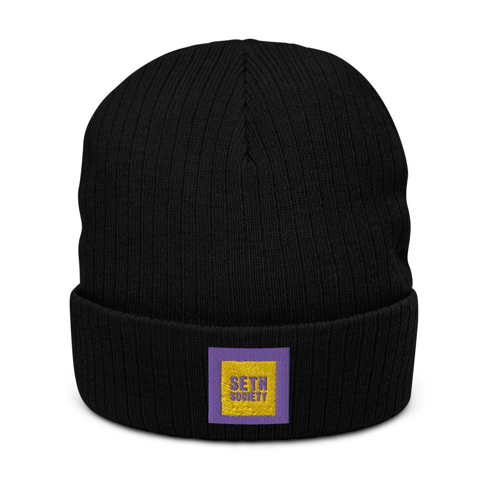 Lakers Color Logo Beanies For Men & Women - Seth Society